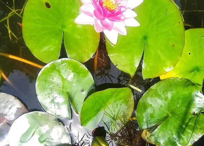 A De Bego Séjour chez l'habitant Mougás